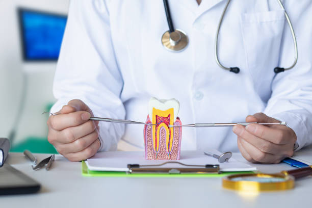 Best After-Hours Emergency Dentist in Lavaca, AR